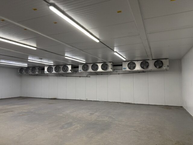 Walk-in cooler with a row of ceiling-mounted evaporator units